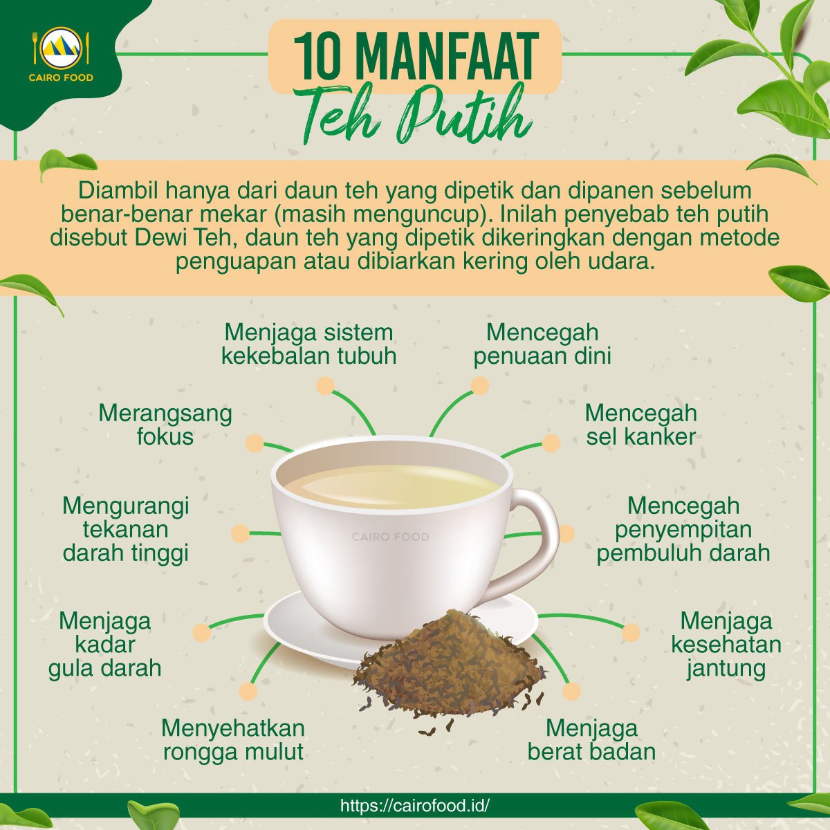Manfaat dan Khasiat Teh Putih untuk Kesehatan Anda