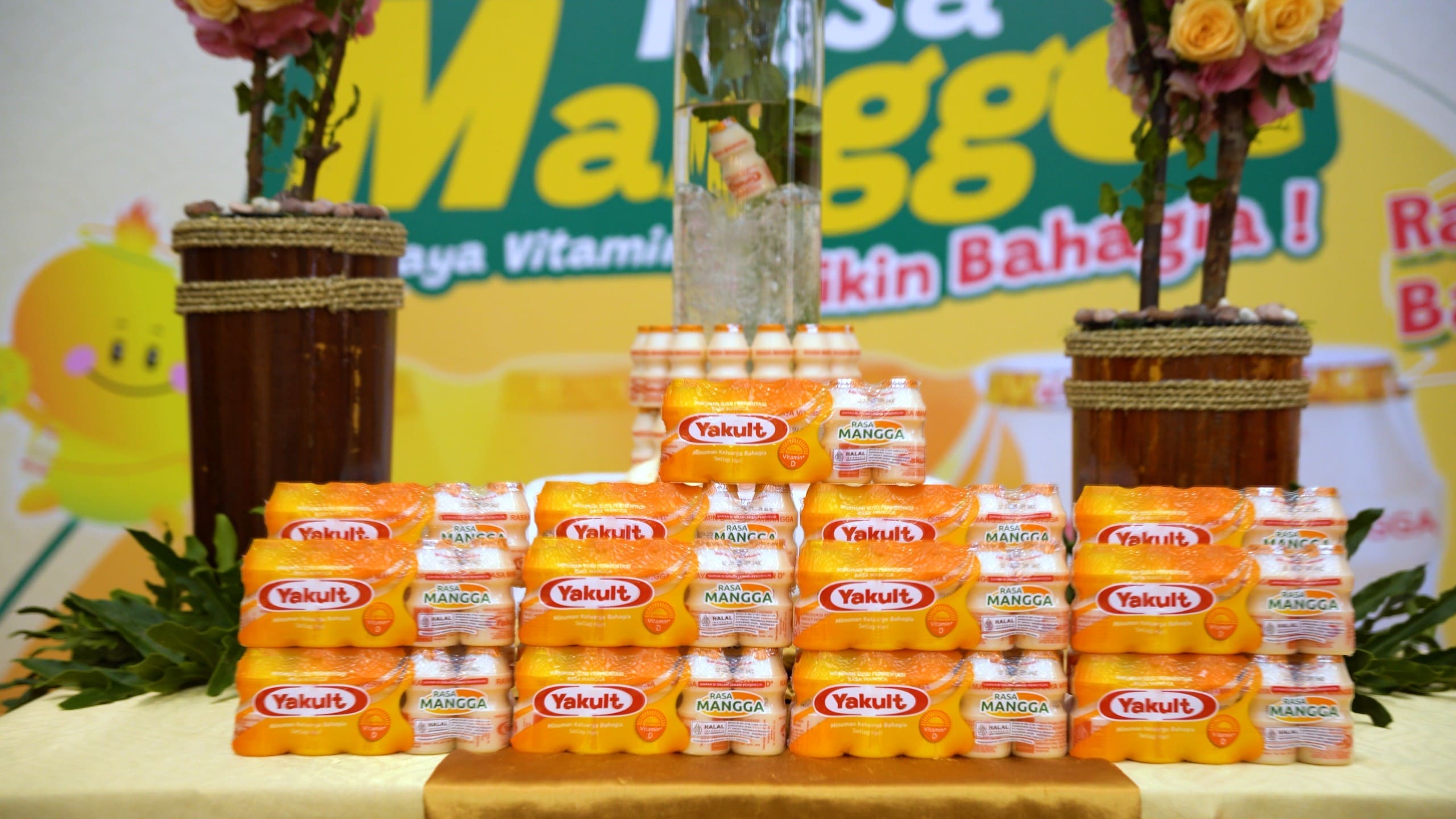 Minuman Mango Yakult: Kombinasi Segar dan Menyehatkan Favorit Baru
