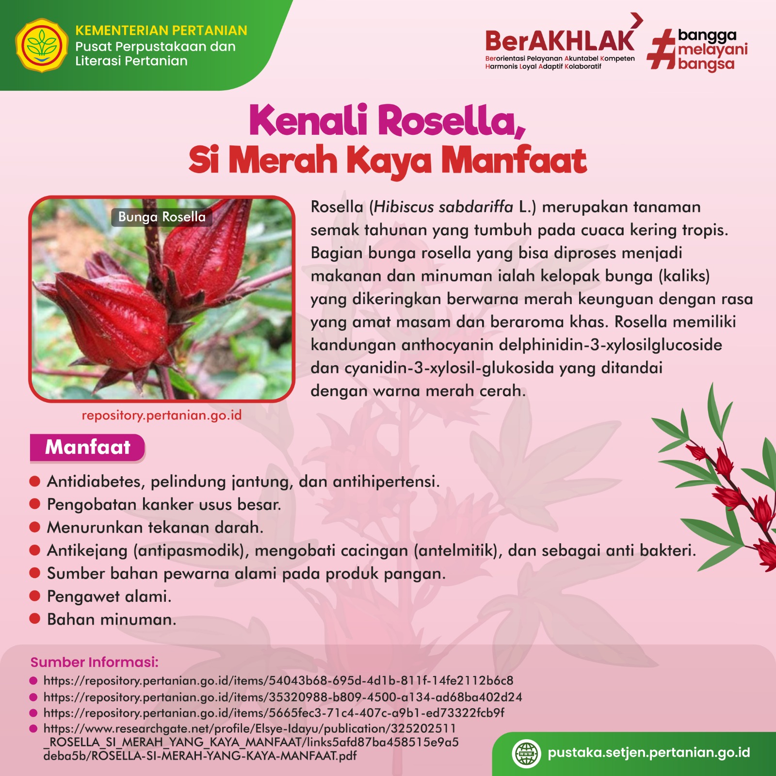 Manfaat dan Keunikan Teh Rosella sebagai Minuman Sehat