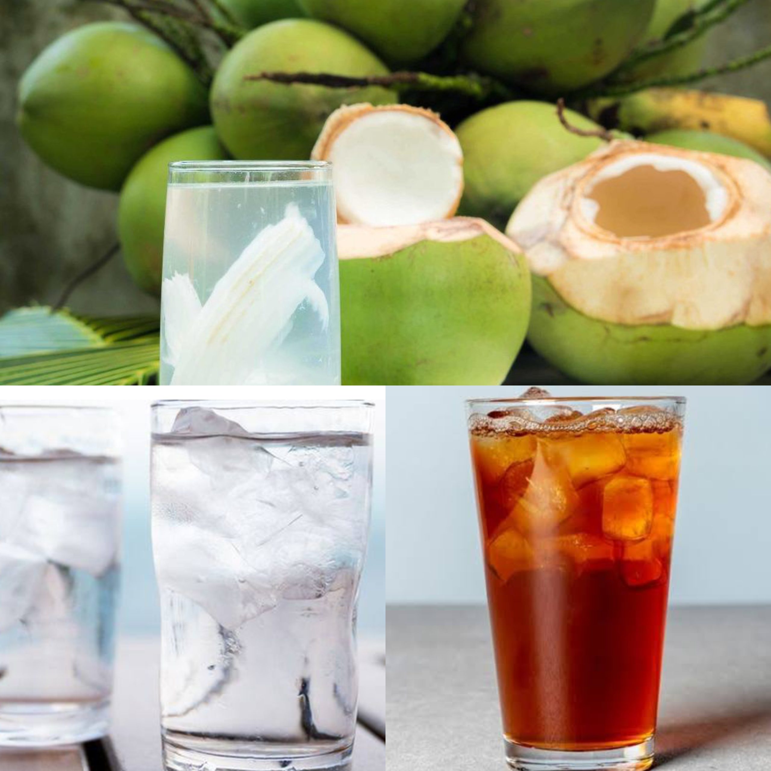 Segarnya Minuman Es Teh Kelapa: Kombinasi Rasa yang Menyegarkan