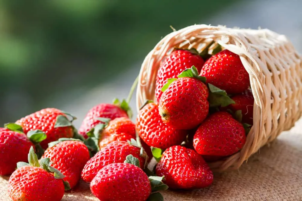 Segudang Manfaat dan Rasa Segar dari Minuman Strawberry