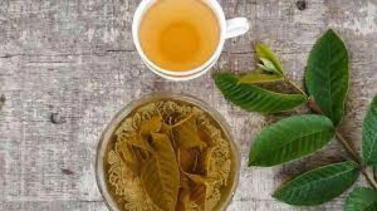Manfaat dan Rasa Segar Teh Guava yang Menyehatkan