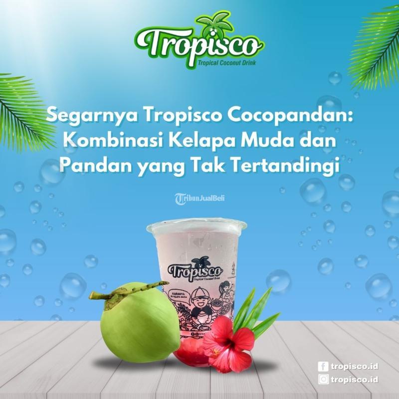 Segarnya Minuman Coconut Pandan, Kombinasi Rasa yang Menyegarkan