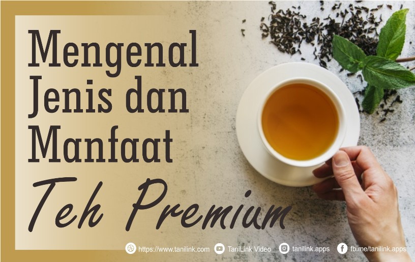 Mengenal Keunggulan Minuman Teh Aroma yang Menyegarkan